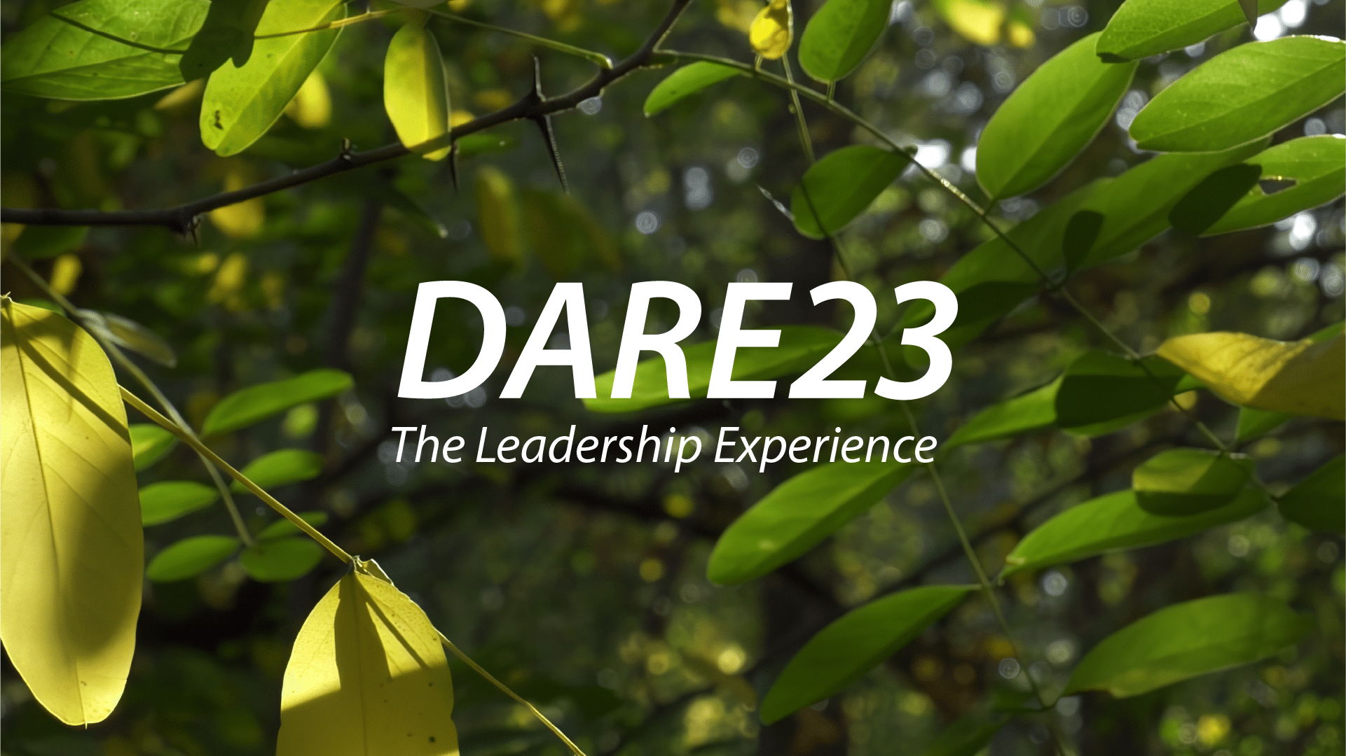 Rabobank DARE23 - The Leadership Experience.